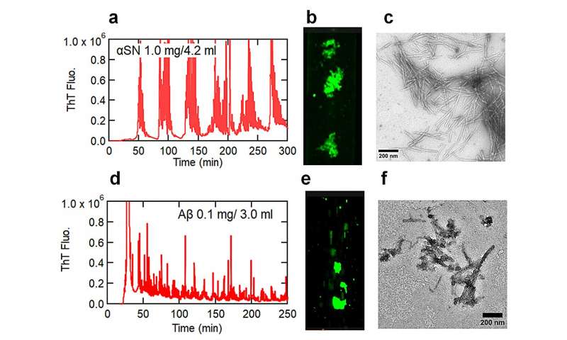 Peristaltic pump flow induces amyloid formation