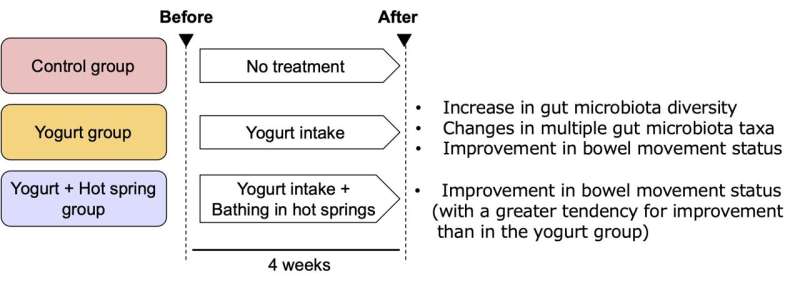 Yogurt and hot spring bathing show a promising combination for gut health